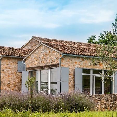 Tenuta Paljari Vižinada Exteriör bild