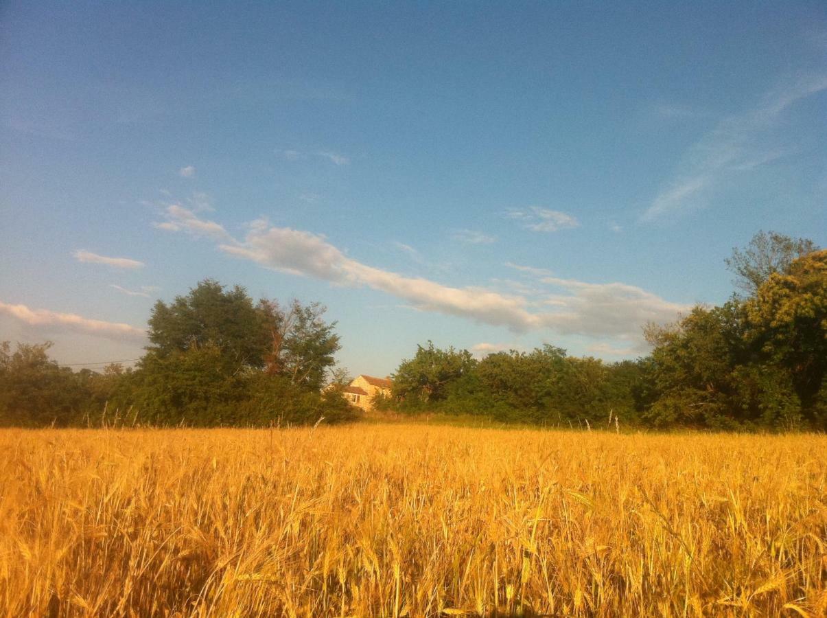 Tenuta Paljari Vižinada Exteriör bild